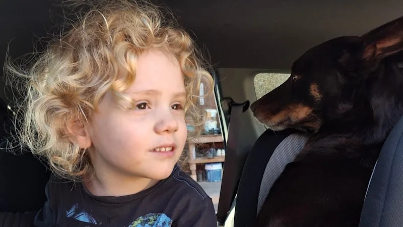 ‘Someone knows what happened to Gus’: Four-year-old’s parents make desperate plea