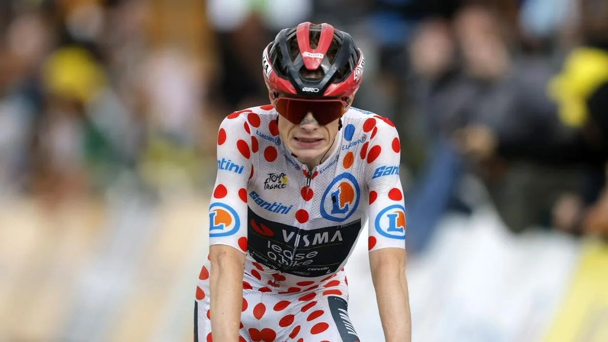Cycling ace ends season in wake of Tour de France crash