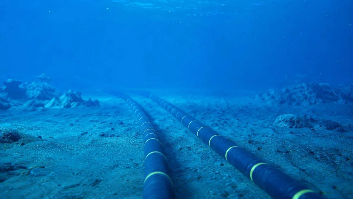 Scientists turn undersea internet cables into giant whale detectors