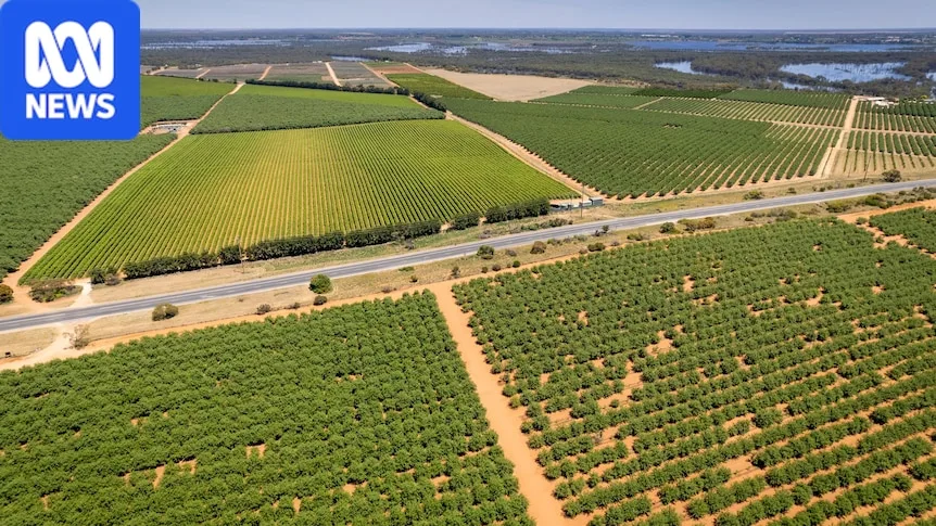 Breaking: SA government commits $109m to help struggling wine industry