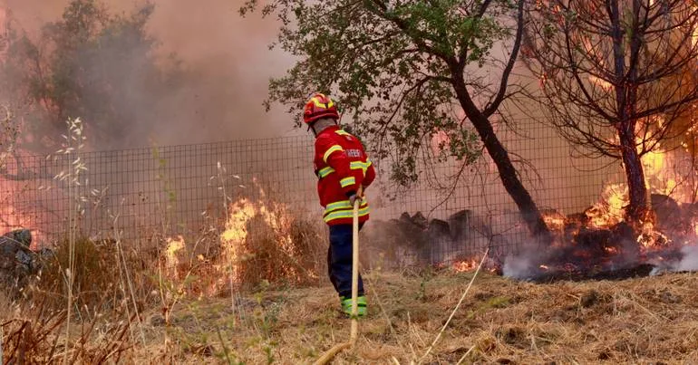 Detido pela PJ suspeito de atear fogos em Penamacor