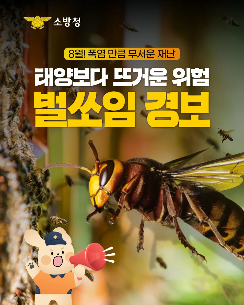 의성서 작업 중 벌 쏘인 60대 의식장애…병원 이송