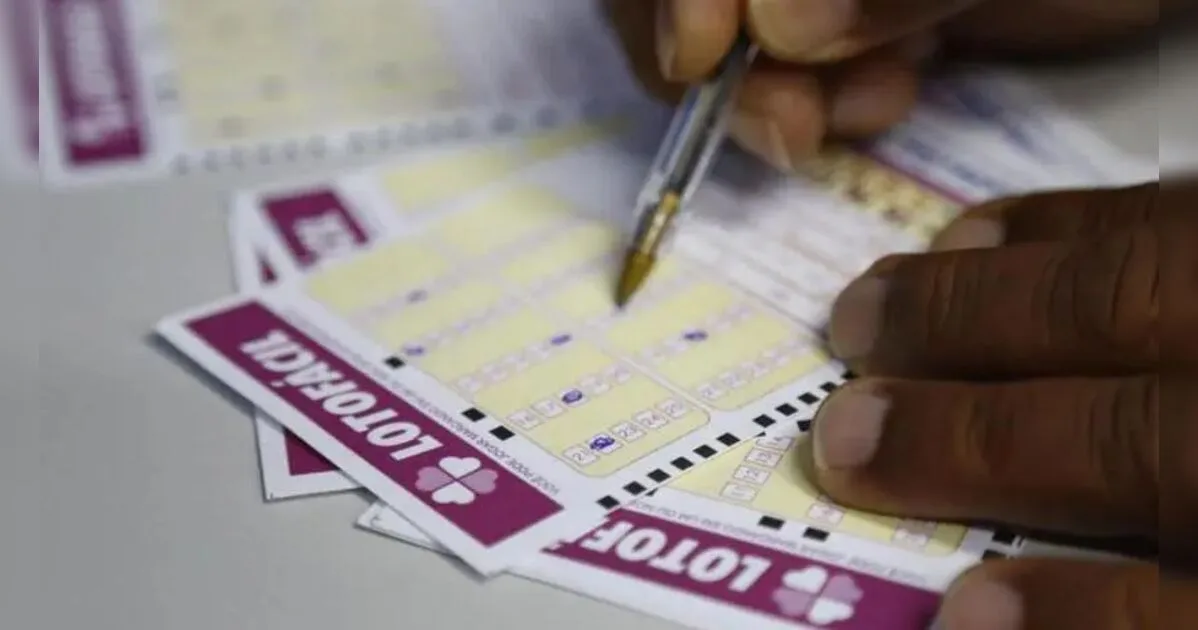 Veja o resultado da Lotofácil concurso 3763 deste domingo (16)