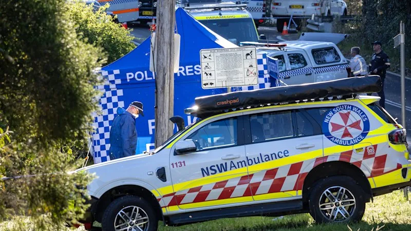 Mother charged over Blue Mountains stabbing attack on children