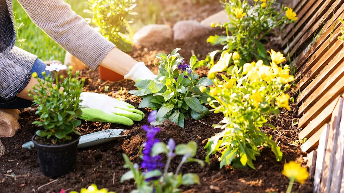 Nährstoffmangel im Garten? - So wird Ihr Boden wieder fruchtbar und gesund