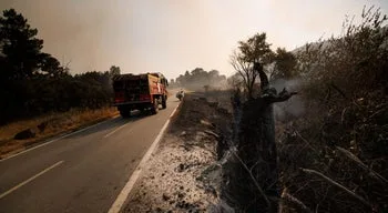 APA vigia contaminação de rios e albufeiras por cinzas de incêndios