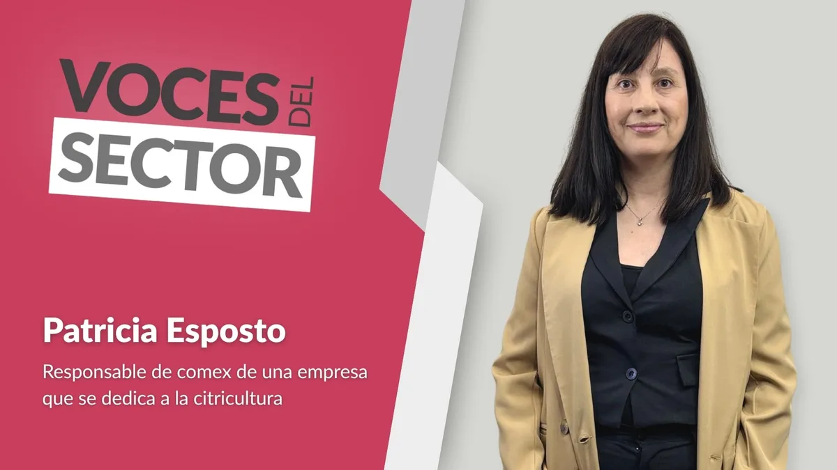 Del interior al puerto: el flete que define si una exportación es rentable