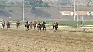 El hijo del caballo que destronó a American Pharoah debutará este domingo en La Rinconada