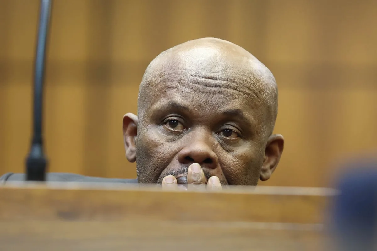 Investigate Sibiya’s threats, witness asks court