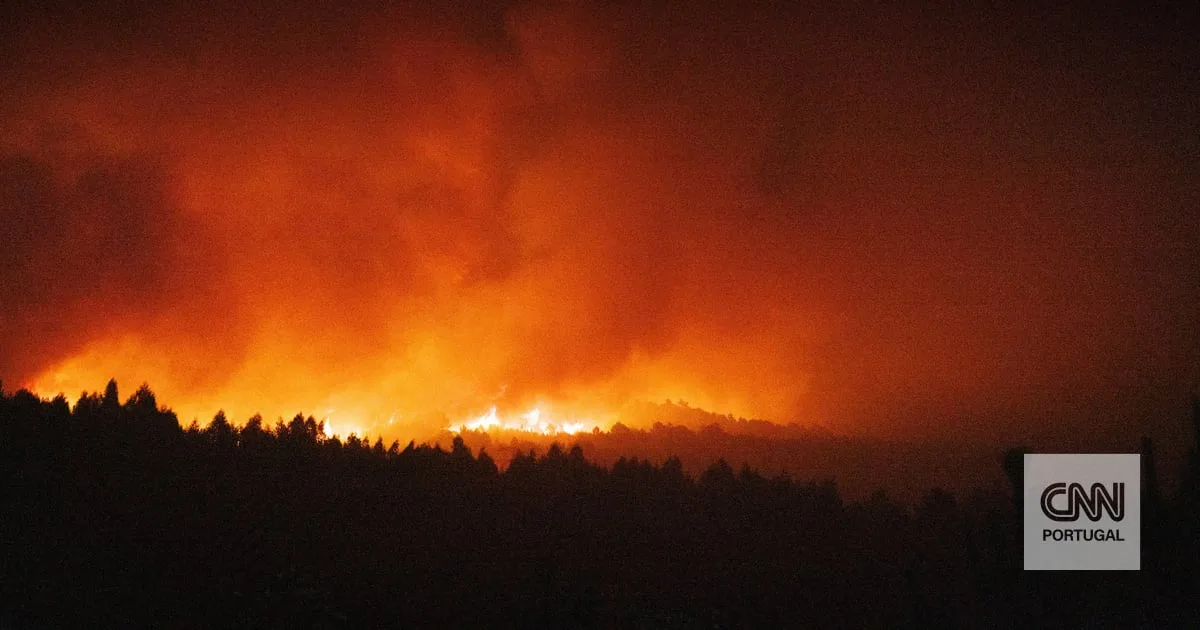 Incêndio no concelho de Mirandela consumiu 500 hectares de floresta