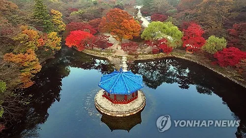 정읍 내장산 단풍 "11월 7∼8일 절정"…작년보다 2∼3일 빠를 듯
