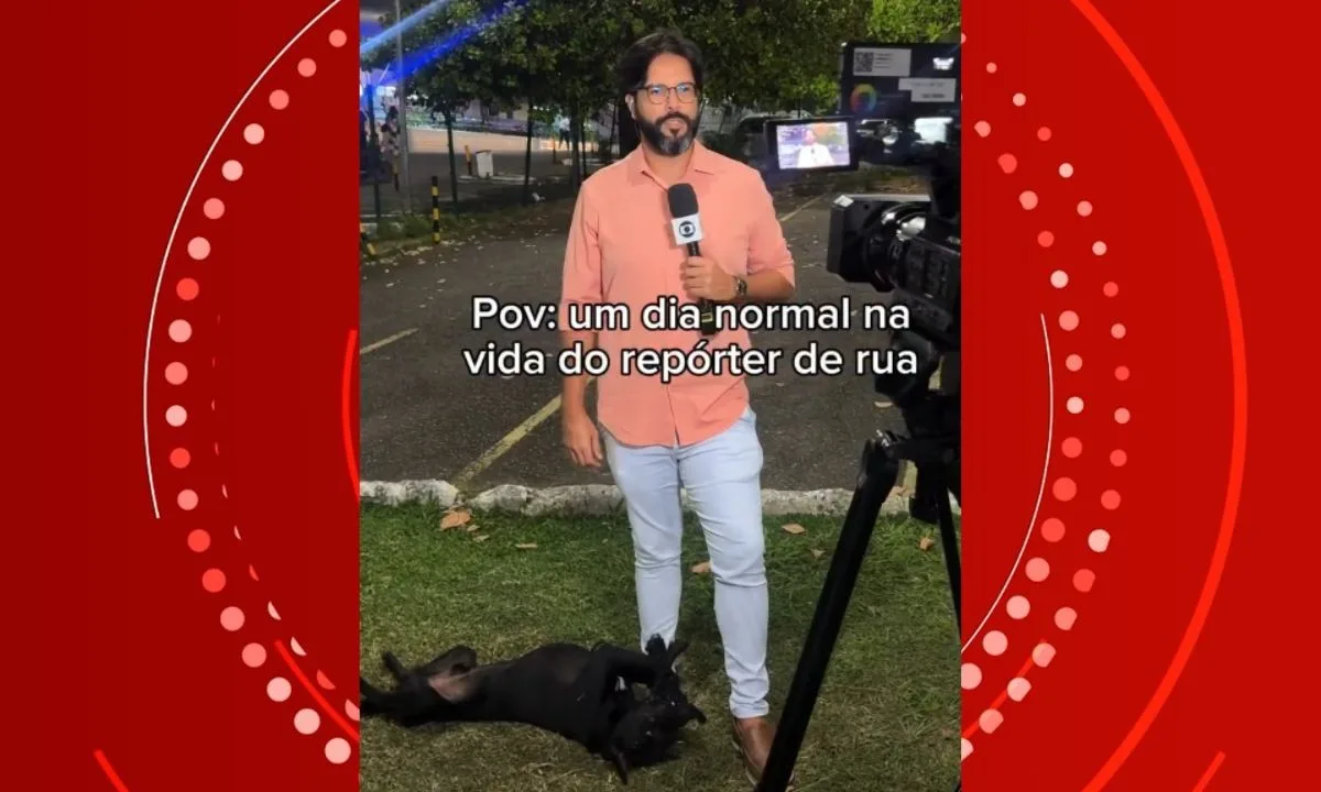 Tutora reencontra cão desaparecido após pet viralizar em vídeo de repórter na Bahia