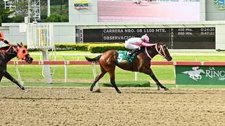 La Rinconada abre el 5y6 con el V Clásico Julián Abdala este domingo
