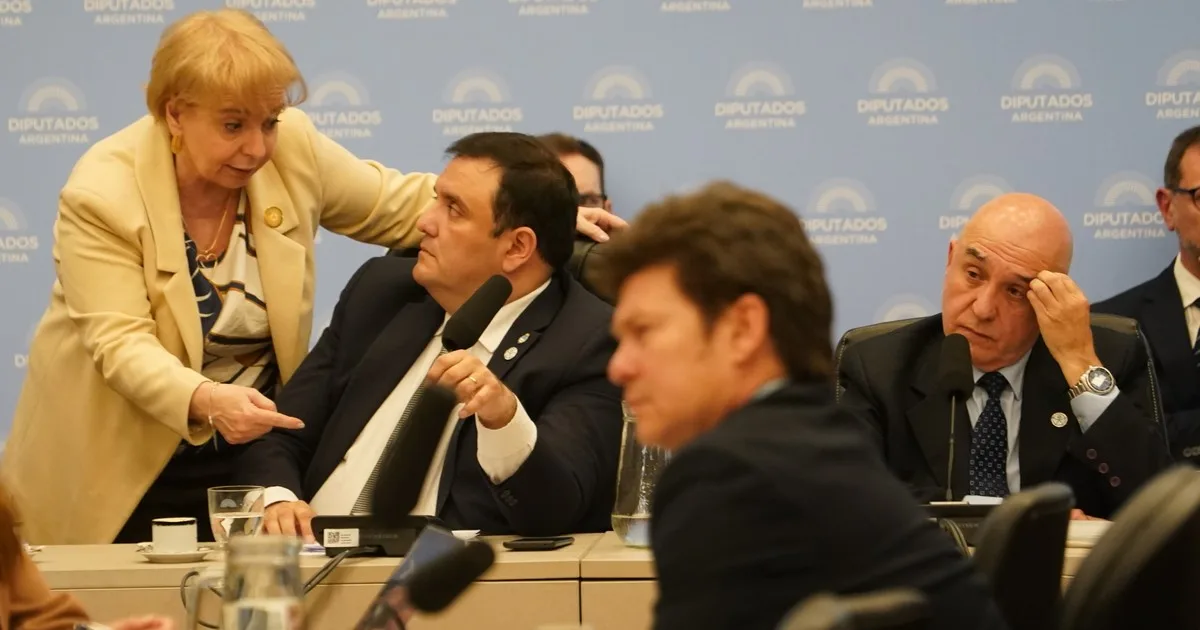 Diputados: tras el cortocircuito con el Ejecutivo, el oficialismo define su nuevo proyecto de Discapacidad