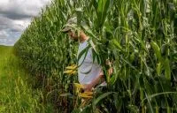 Plantio de soja em Mato Grosso começa mais cedo