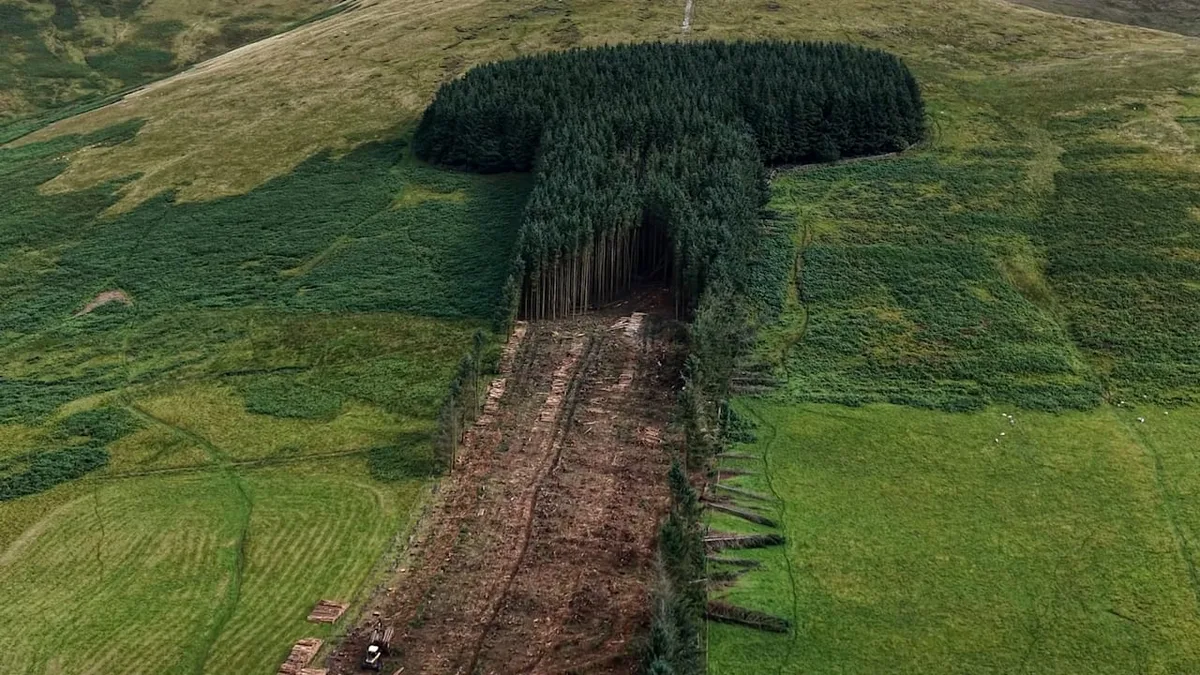 Bye-bye - Schotten rasieren ihren „Penis-Wald“