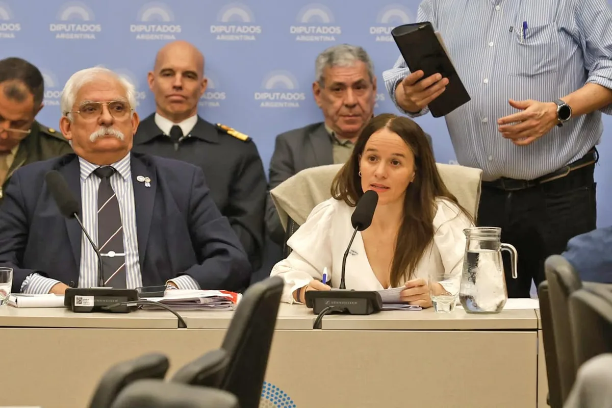 Tensión en Diputados: el Gobierno rechaza dividir el proyecto de Malvinas y envió a una funcionaria clave a defenderlo