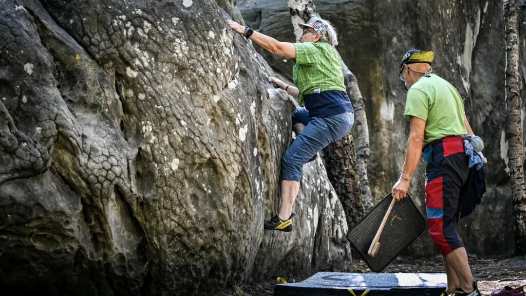 Réouverture de la forêt de Fontainebleau, les grimpeurs sont de retour