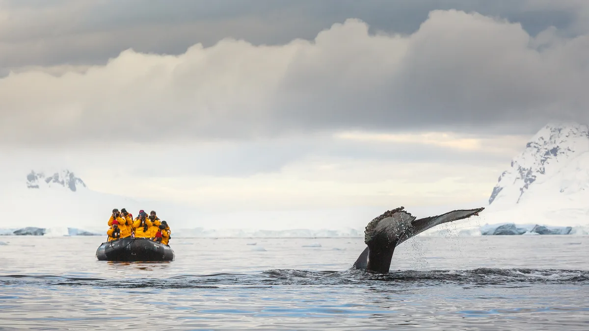 'They don't deserve this beauty and this breathtaking fragility': Former Antarctic tour guides told researchers why they quit the troubling industry