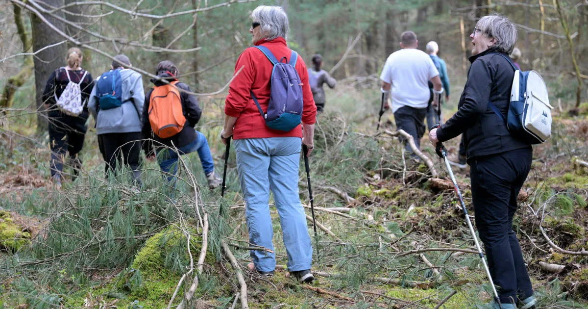 Jura. Septuagénaire disparu depuis mardi : les battues citoyennes se succèdent