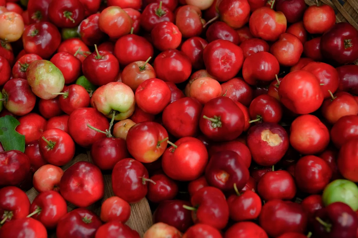 Primavera começou: 7 frutas da estação ricas em vitamina C e nutrientes