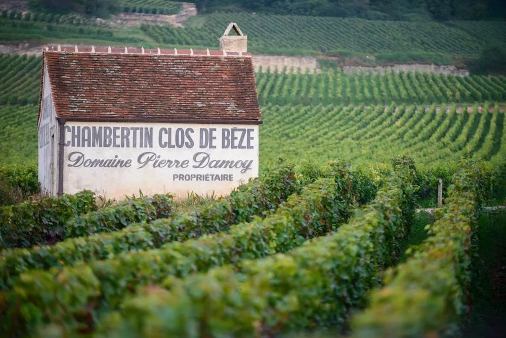 Foire aux vins : les grandes manœuvres dans le vignoble