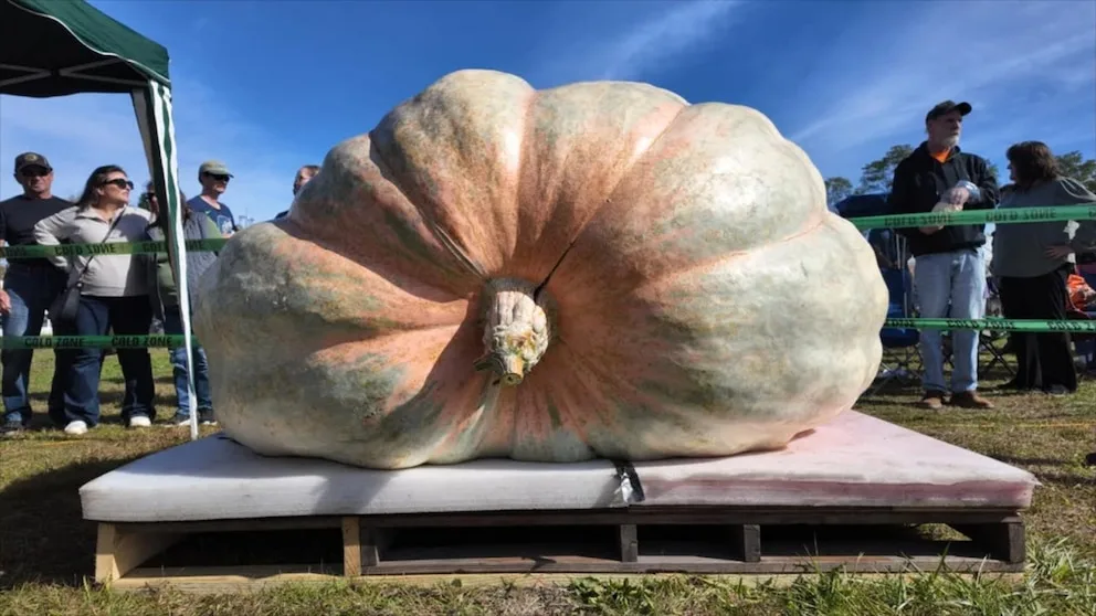 WATCH: Rhode Island farmer sets new record for world's biggest pumpkin