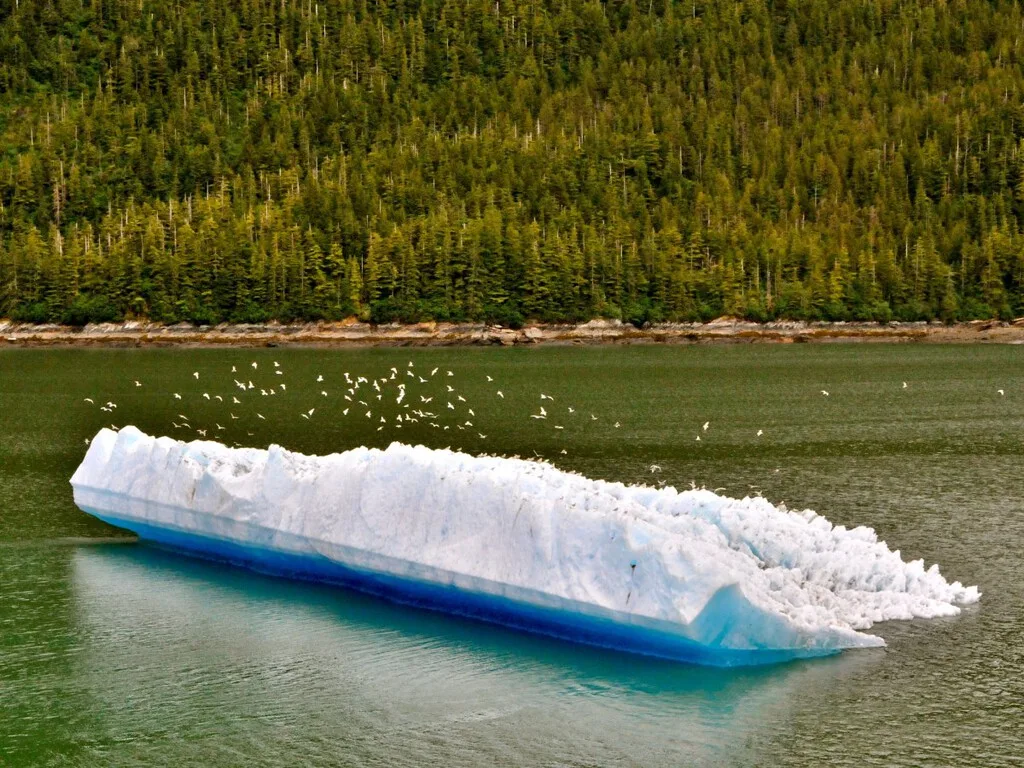 En 1977 llevaron un bloque de hielo de una tonelada desde Alaska hasta Iowa con un solo propósito: descubrir si los icebergs podían proporcionar agua dulce