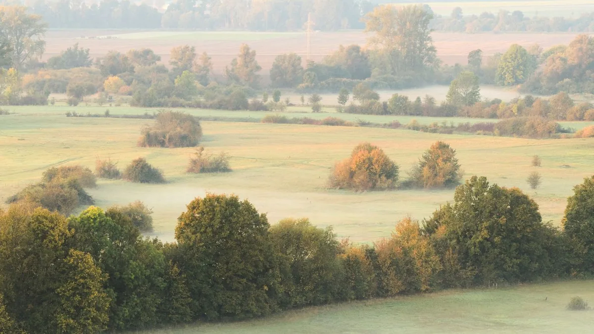 Wetter: Nebel, Frost und 19 Grad: So wird das Wetter im Norden