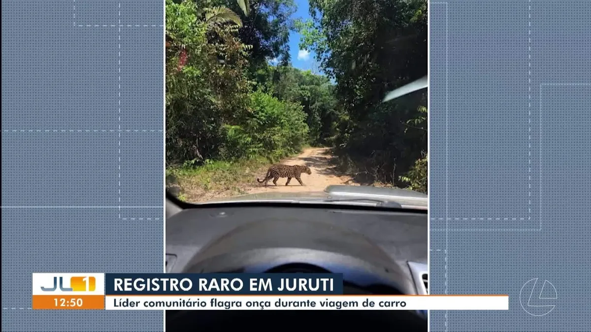 VÍDEOS: JL1 de quinta-feira, 20 de agosto de 2026
