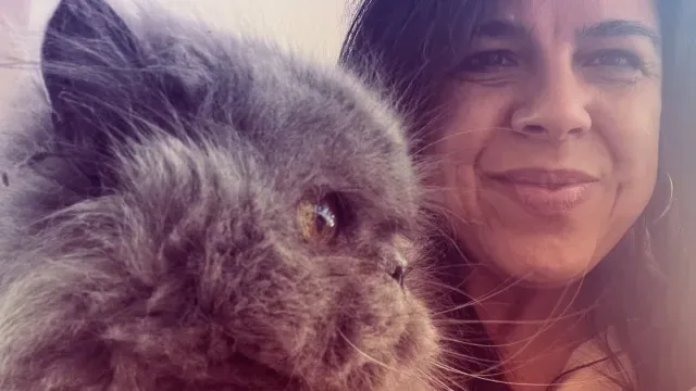 Gato Mikas terá sofrido AVC e Sousa Real falta a debate na AR: "Família"