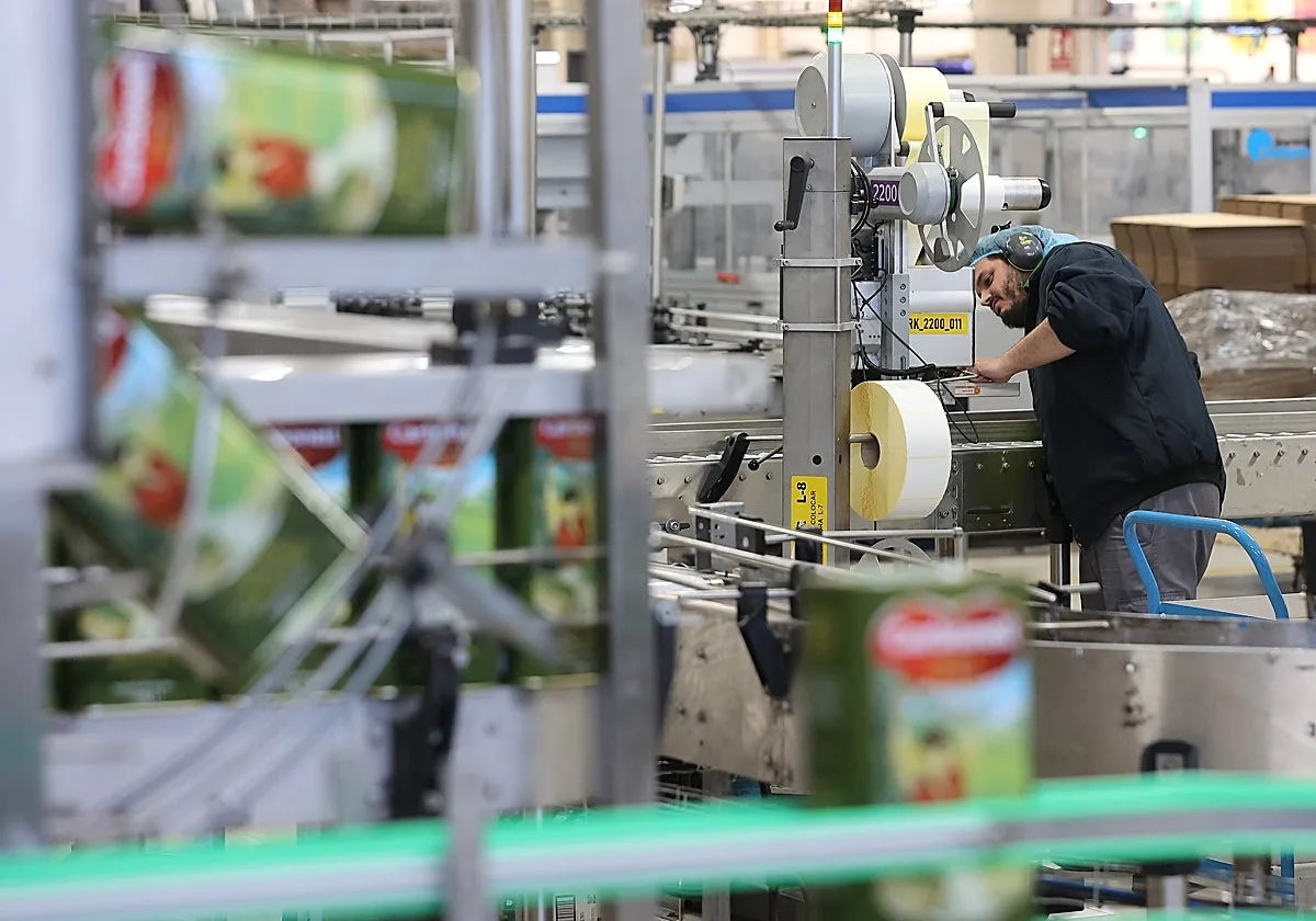Fuentes considera que la posible venta de Deoleo a Dcoop es «una oportunidad histórica para defender el peso del aceite de oliva español»