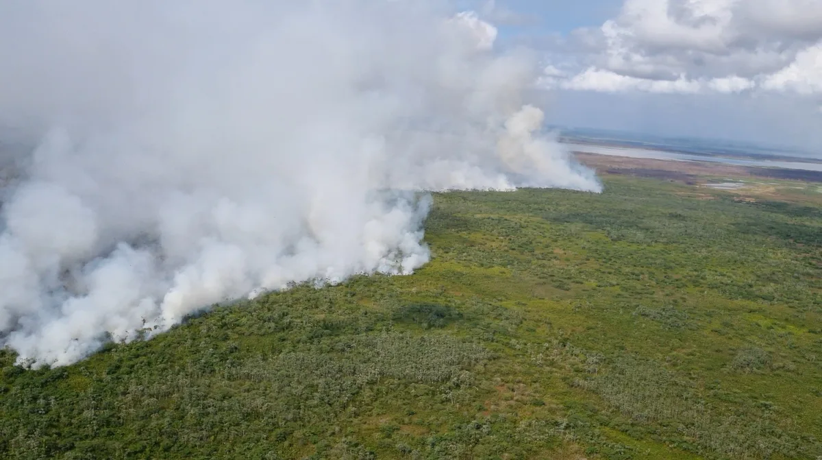 Focos de calor no Amapá sobem 400% no início da estiagem, aponta meteorologista