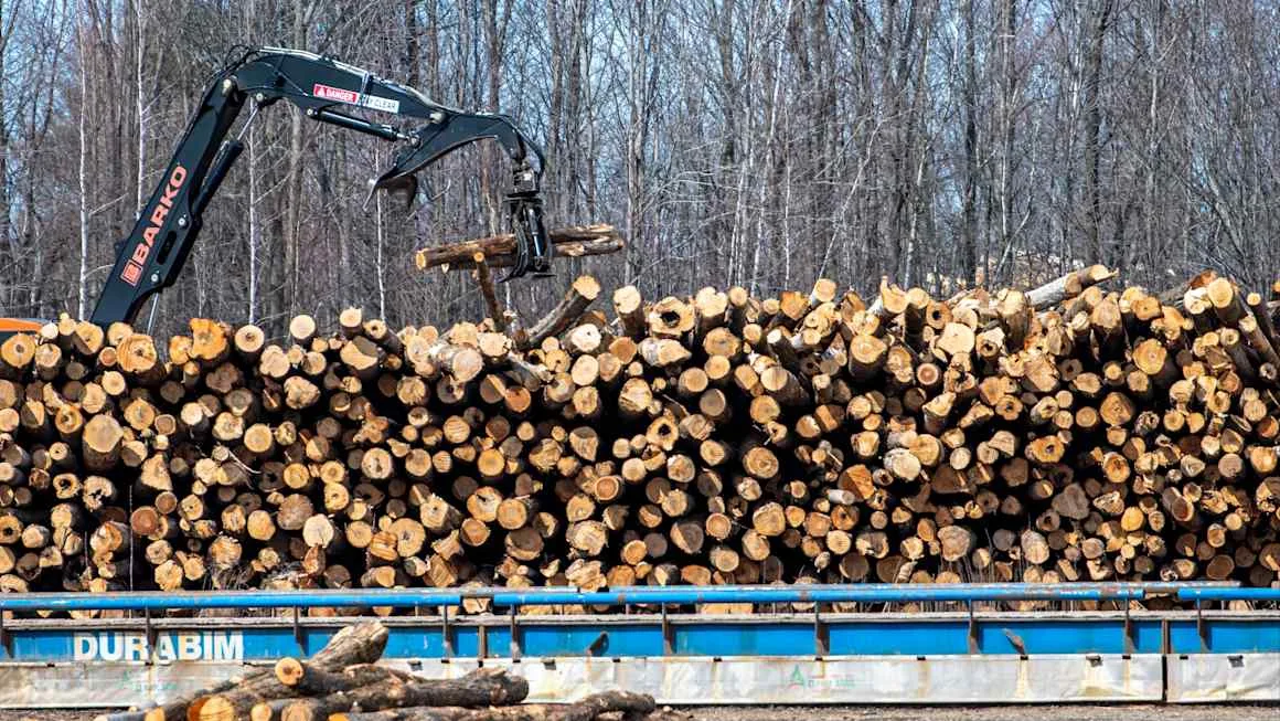 Canada faces deadline to stop US tariffs on $20bn of exports