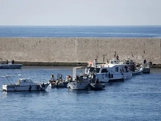 Colère des pêcheurs : Sète, Nice… Où ont lieu les différentes mobilisations du secteur ?