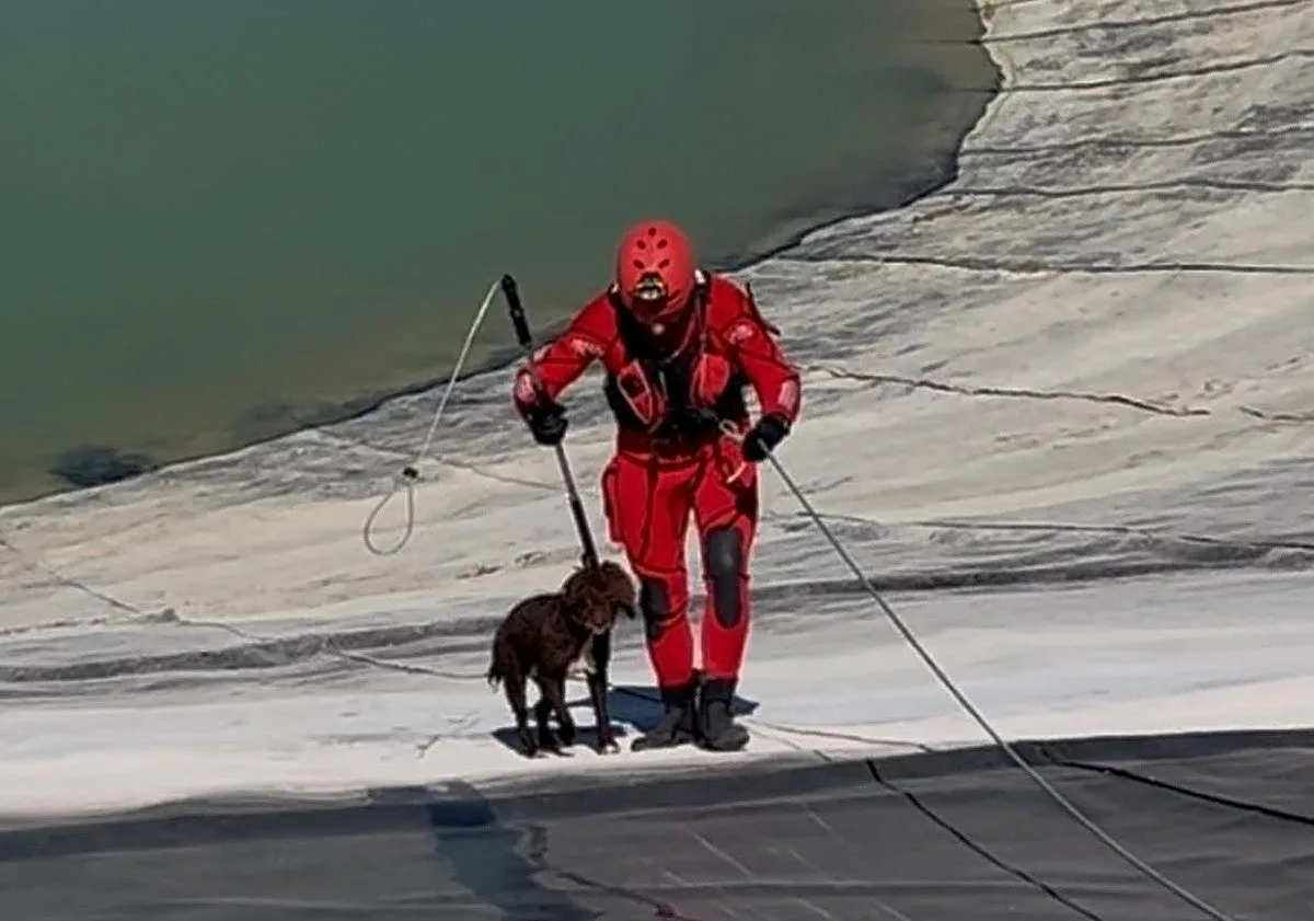 Los bomberos logran salvar a una perra atrapada en una balsa de grandes dimensiones en Fuente Palmera