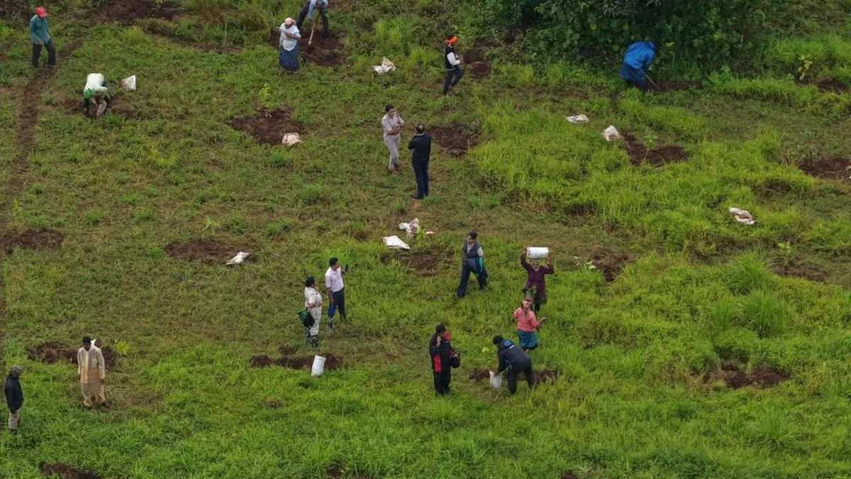 Forest Dept. recovers 110 acres in Sirsi taluk after High Court order