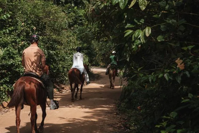Do luxo à aventura: como o turismo equestre se tornou uma tendência global