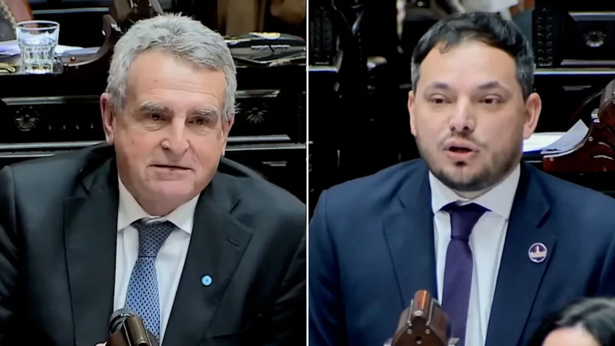 “Hijitus”, “el profesor Neurus” y “Cachabacha”: el particular cruce entre Rossi y Álvaro Martínez en la sesión en Diputados
