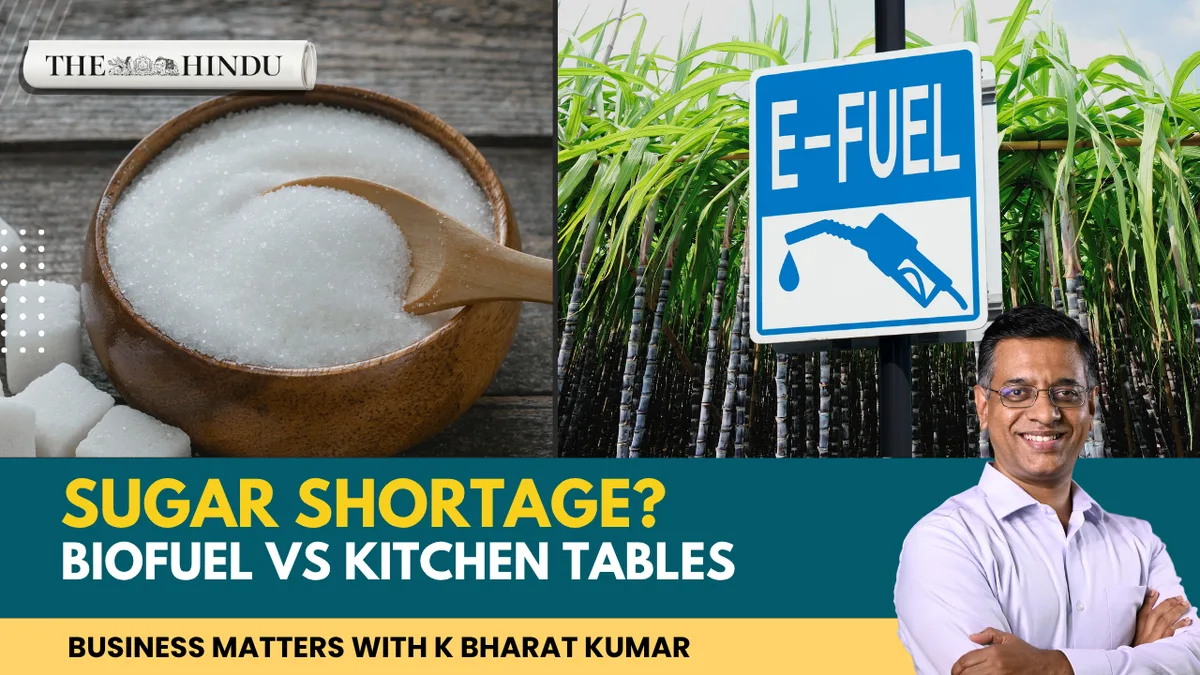 Watch: Behind India’s sudden sugar price surge and the ethanol debate | Business Matters