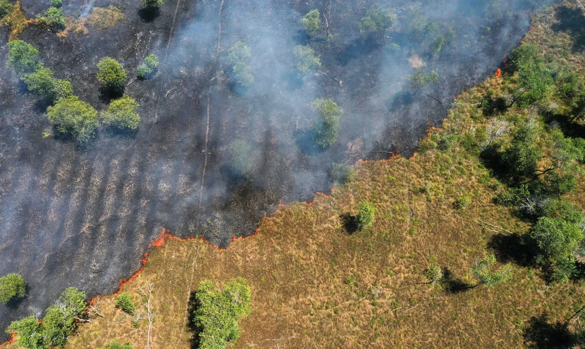 ‘Mudanças climáticas’ ou ‘mudança climática’? Por que a diferença entre singular e plural faz diferença