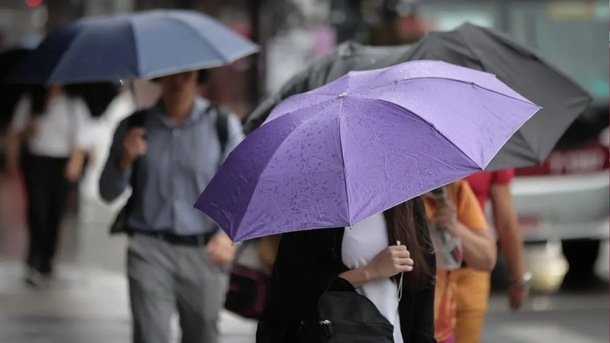 Frio de 11°C: Temperatura vai despencar em São Paulo nesta semana; veja a previsão para os próximos dias