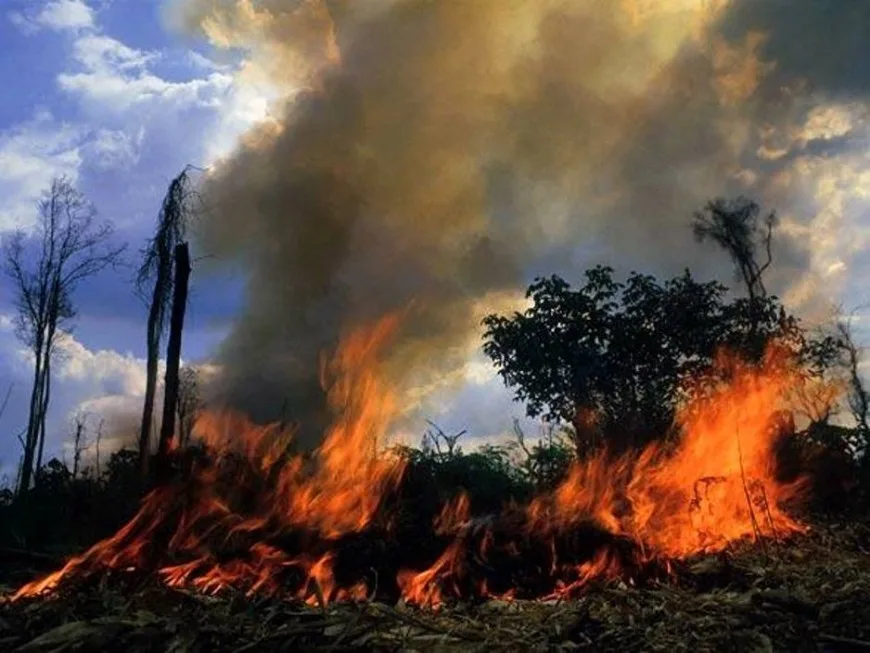 Homem morre enquanto tentava apagar incêndio em pastagem na zona rural de Nova União, RO
