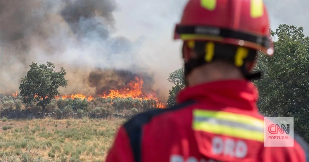 Cinco incêndios ativos em Portugal. Torre de Moncorvo é o que preocupa mais