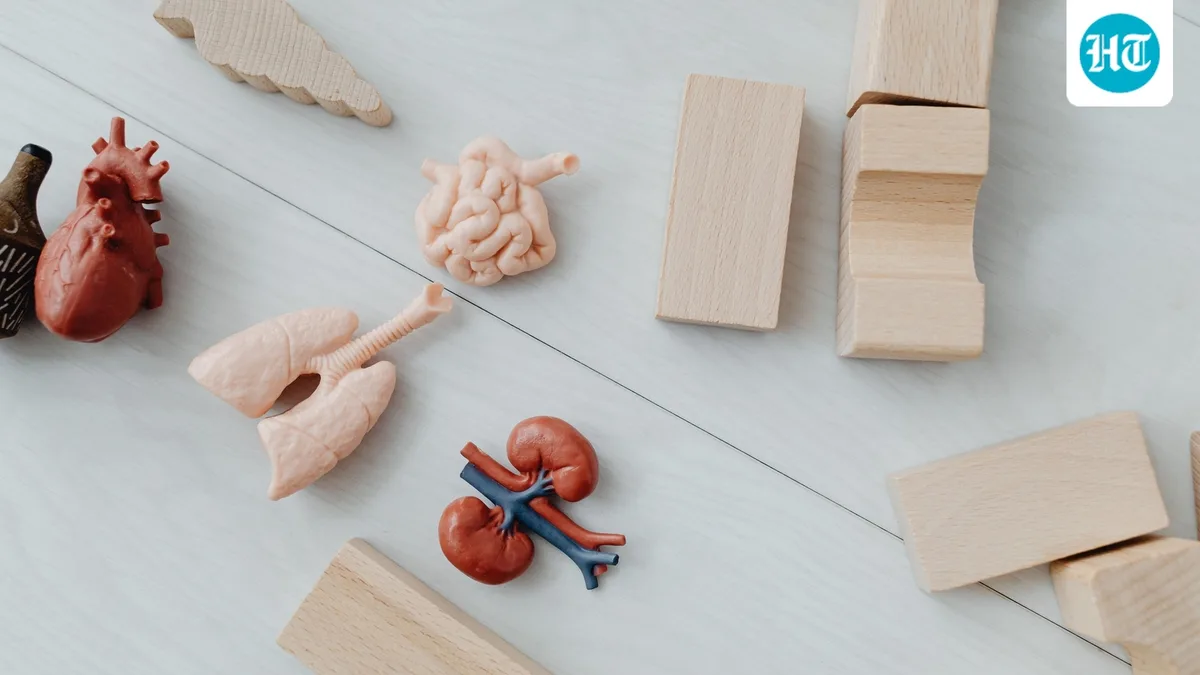 How to know if you have kidney stones? Nephrologist explains flank pain, urine changes and more