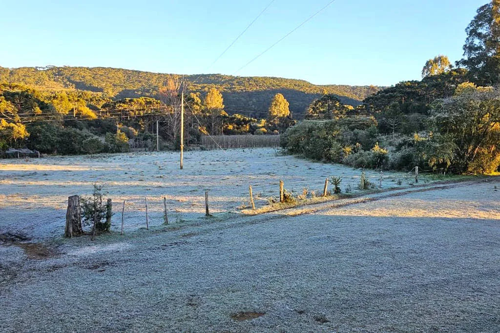 Bom Jardim da Serra (SC) registra -9,1°C, terceira menor mínima do ano no Brasil