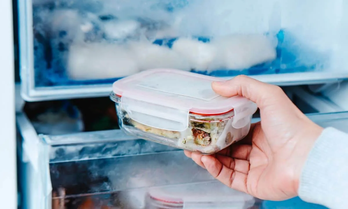Como descongelar alimentos com segurança sem deixar na pia