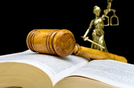 Sars and Treasury ask top court to overturn ruling on minister’s VAT powers