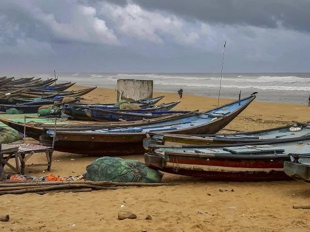 Govt floats experimental method to put a value on marine fish resources