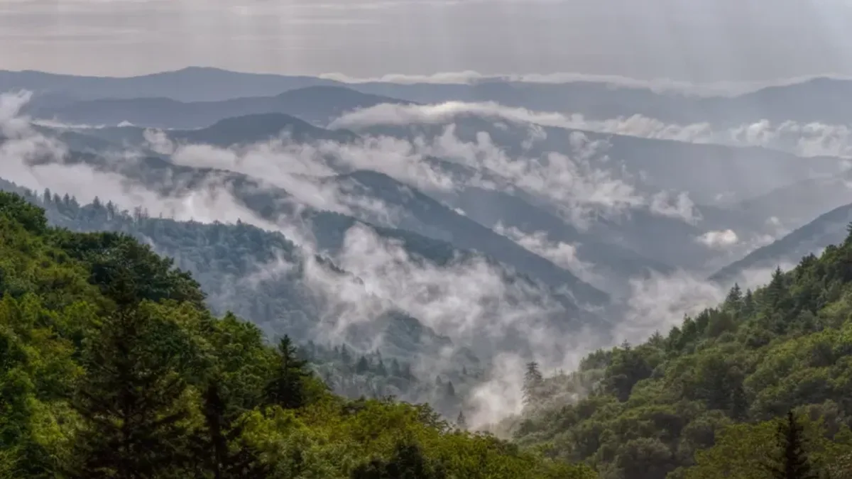 How a $5 million fundraising drive and Rockefeller gift helped create Great Smoky Mountains National Park